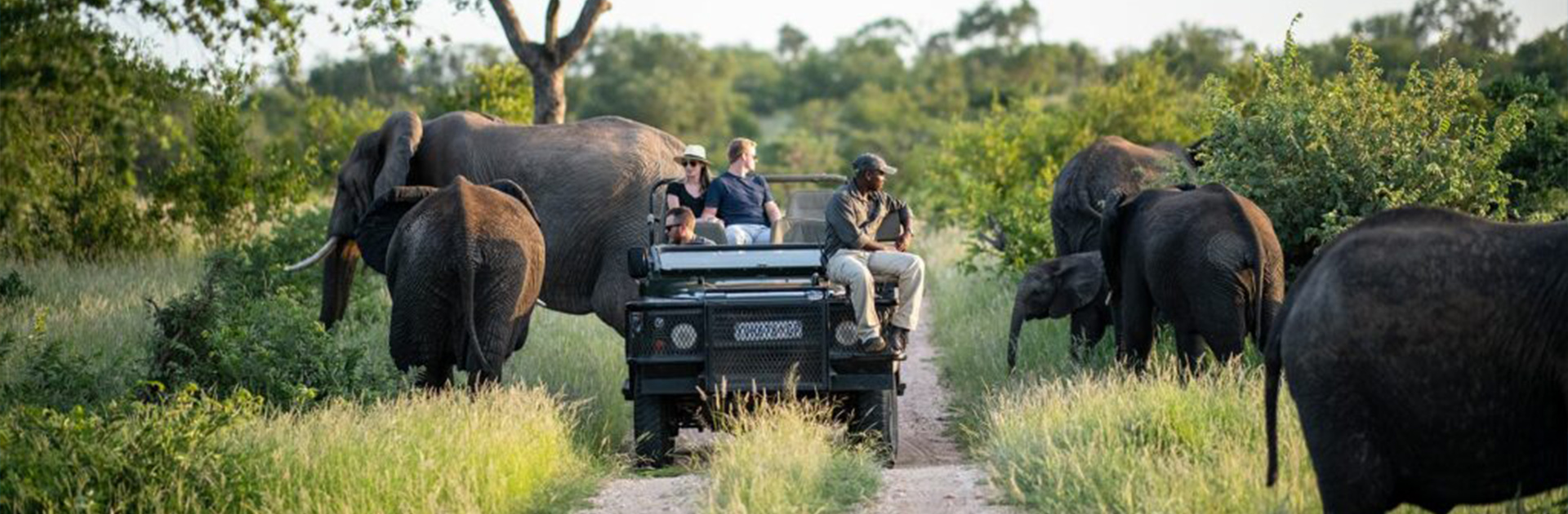 accommodation-in-kruger-park